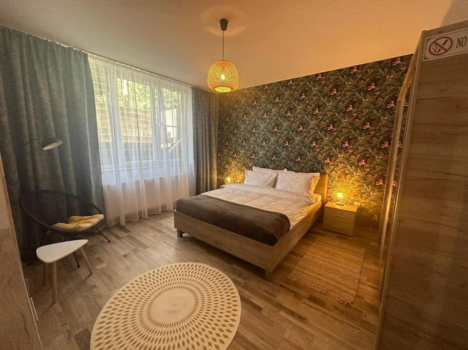 Newlevel Studio Braşov Buitenkant foto